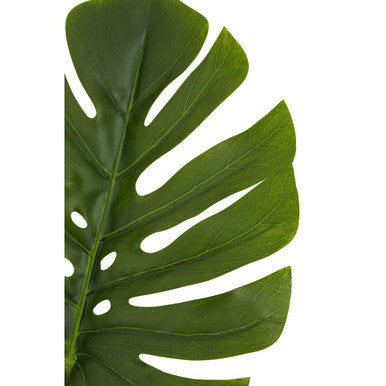 Fiori Tall Monstera Palm Stem