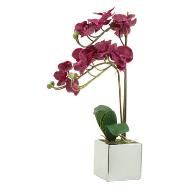 Fiori Purple Orchid in Silver Pot