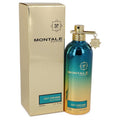 Montale Day Dreams Unisex Eau de Parfum Spray, 3.4 oz / 100 ml