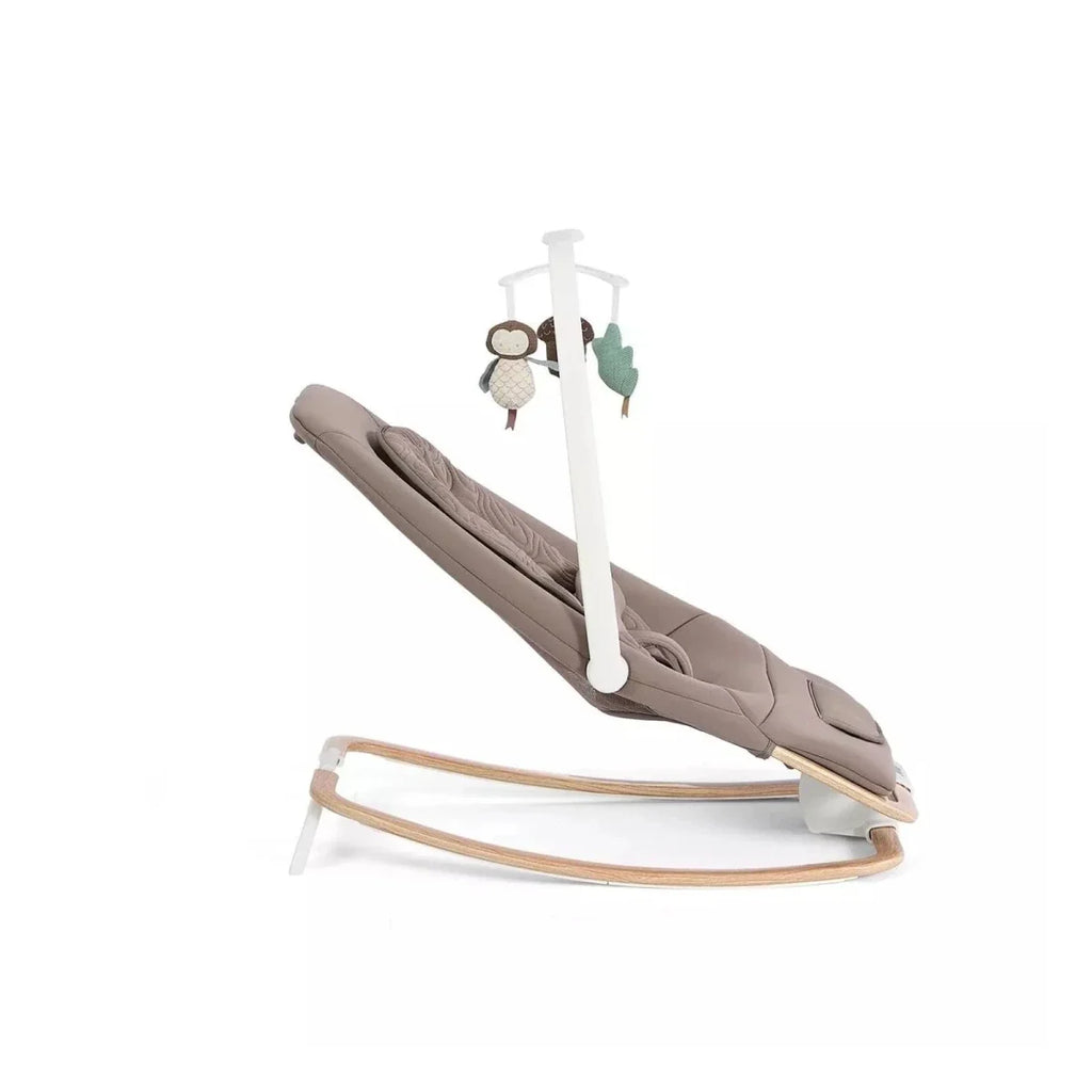 Joie Dreamer Rocker - Strata Acorn Wood