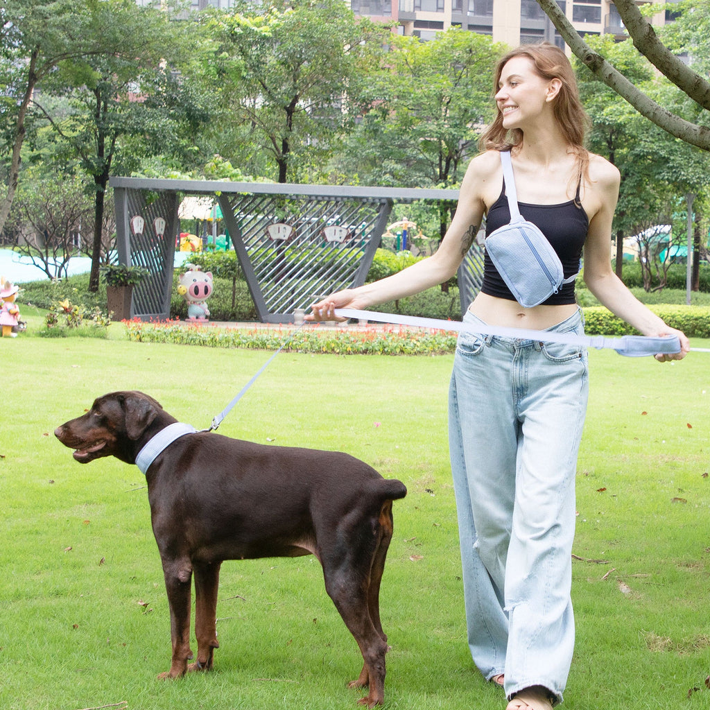 Hand Holding Rope Explosion-proof Chest Back Suit Widened Pet Collar Mini Schoolbag Dog Stool Bag