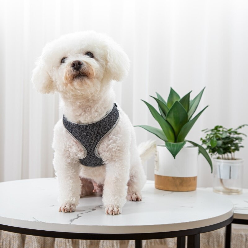 Pet Dog Walking Leash Vest-style Harness