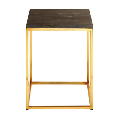 Black Petrified Wood Top Square Side Table with Gold Warm Brass Iron Base, Relic