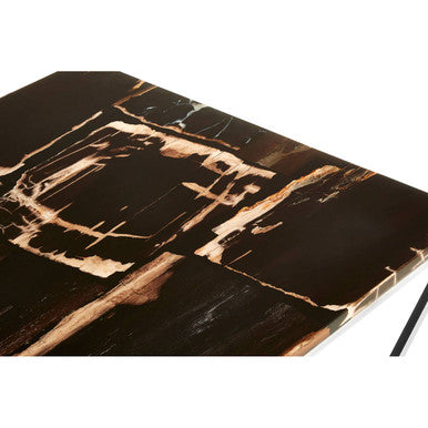 Dark Petrified Wood Top Coffee Table with Prominent Graining and Silver Stainless Steel Frame, Relic