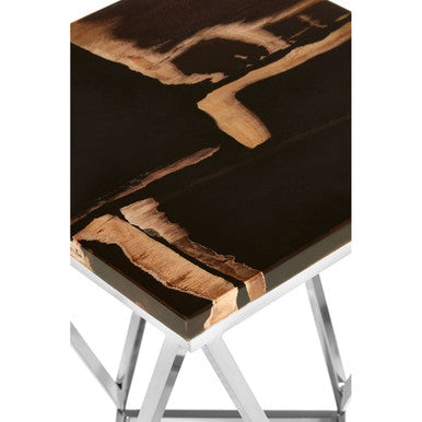 Dark Petrified Wood Side Table with Rustic Grained Top and Silver Stainless Steel Frame, Relic