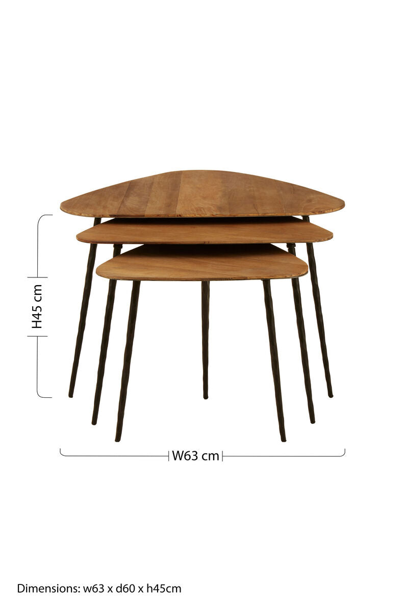 Black and Brown Elm Wood Top Nest of 3 Triangular Tables with Black Iron Legs, Elmo