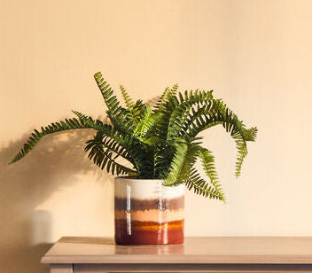 Sorrell Small Planter