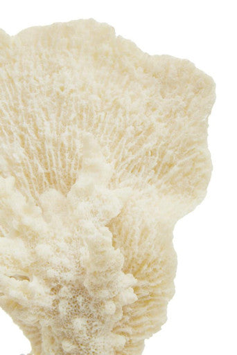 Boho Small White Coral Decor