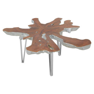 Silver Teak Wood Star Top Coffee Table with Steel Legs, Surak