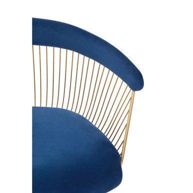 Anzio Navy Blue Velvet and Brushed Gold Chair with Hourglass Shape