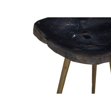 Brown Petrified Wood Top Side Table with Brass Finish Angular Legs, Relic