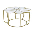 Silver and Gold Iron Frame Coffee Table with Petal Design Mirrored Top | Rabia
