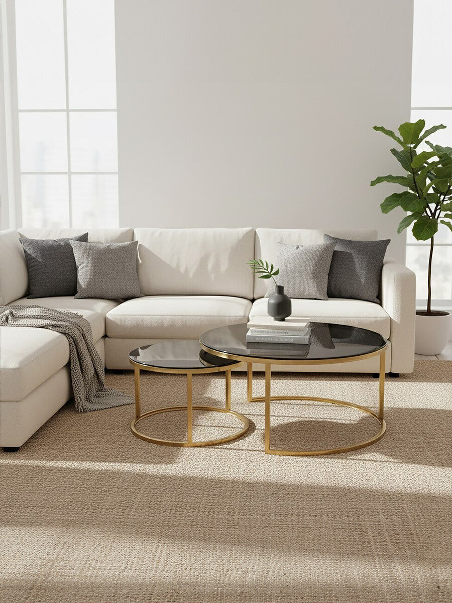 Alana Gold Metal and Tinted Glass Set of 2 Nesting Coffee Tables
