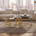 Alana Gold Metal and Tinted Glass Set of 2 Round Nesting Coffee Tables