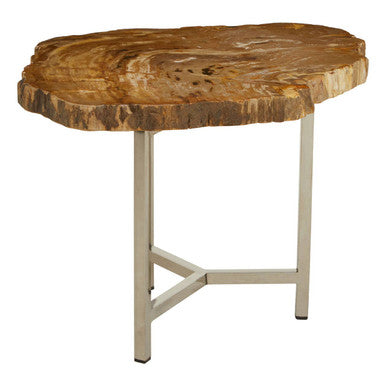 Natural Small Rustic Petrified Wood Top Side Table with Silver Finish Metal Frame, Relic