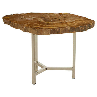 Natural Small Rustic Petrified Wood Top Side Table with Silver Finish Metal Frame, Relic