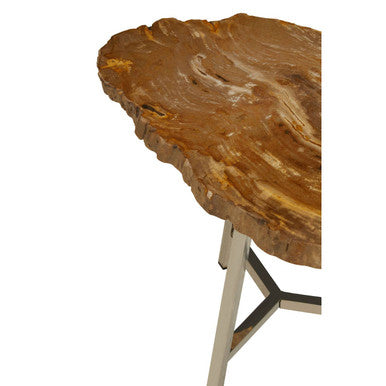Natural Small Rustic Petrified Wood Top Side Table with Silver Finish Metal Frame, Relic
