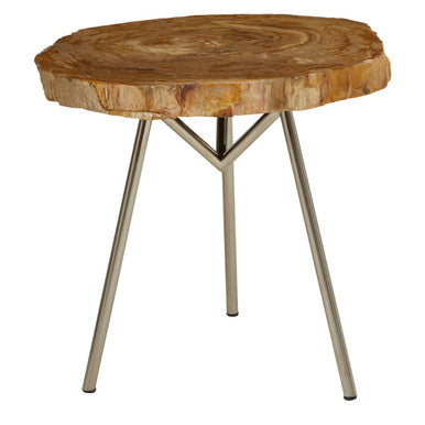 Natural Medium Rustic Petrified Wood Top Side Table with Silver Finish Metal Frame, Relic