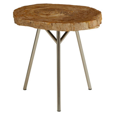 Natural Medium Rustic Petrified Wood Top Side Table with Silver Finish Metal Frame, Relic