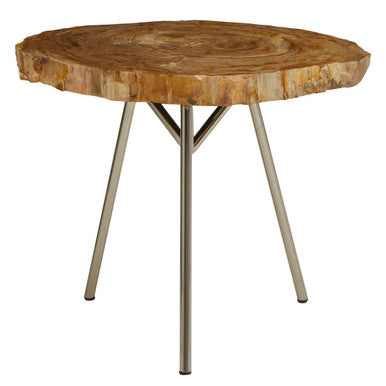 Natural Medium Rustic Petrified Wood Top Side Table with Silver Finish Metal Frame, Relic