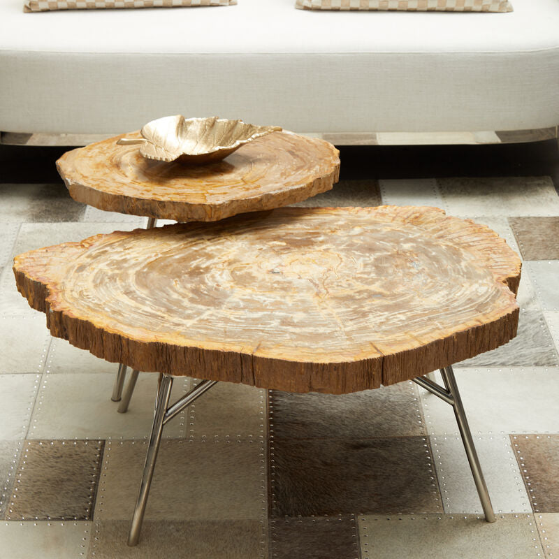 Natural Medium Rustic Petrified Wood Top Side Table with Silver Finish Metal Frame, Relic