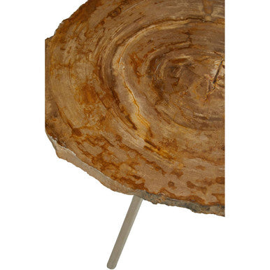 Natural Medium Rustic Petrified Wood Top Side Table with Silver Finish Metal Frame, Relic