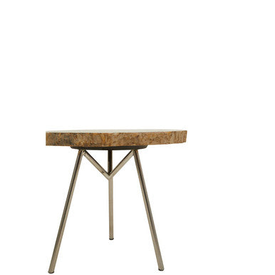 Natural Medium Rustic Petrified Wood Top Side Table with Silver Finish Metal Frame, Relic