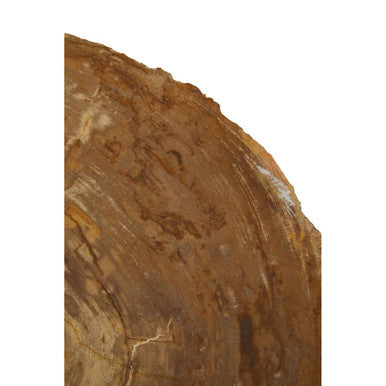 Natural Medium Rustic Petrified Wood Top Side Table with Silver Finish Metal Frame, Relic