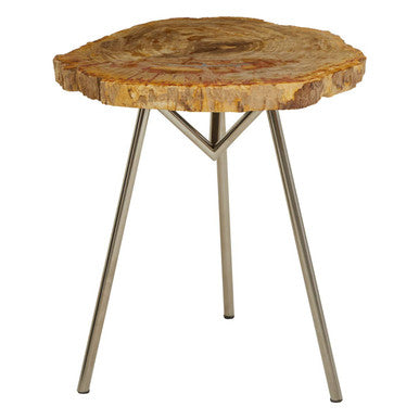 Natural Large Rustic Petrified Wood Top Side Table with Silver Finish Metal Frame, Relic