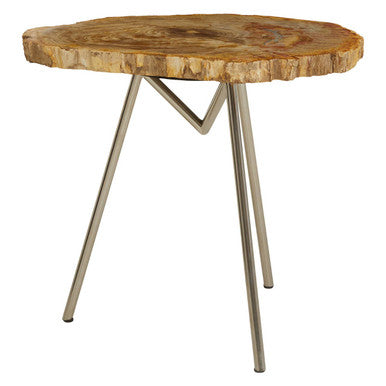 Natural Large Rustic Petrified Wood Top Side Table with Silver Finish Metal Frame, Relic