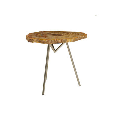 Natural Large Rustic Petrified Wood Top Side Table with Silver Finish Metal Frame, Relic