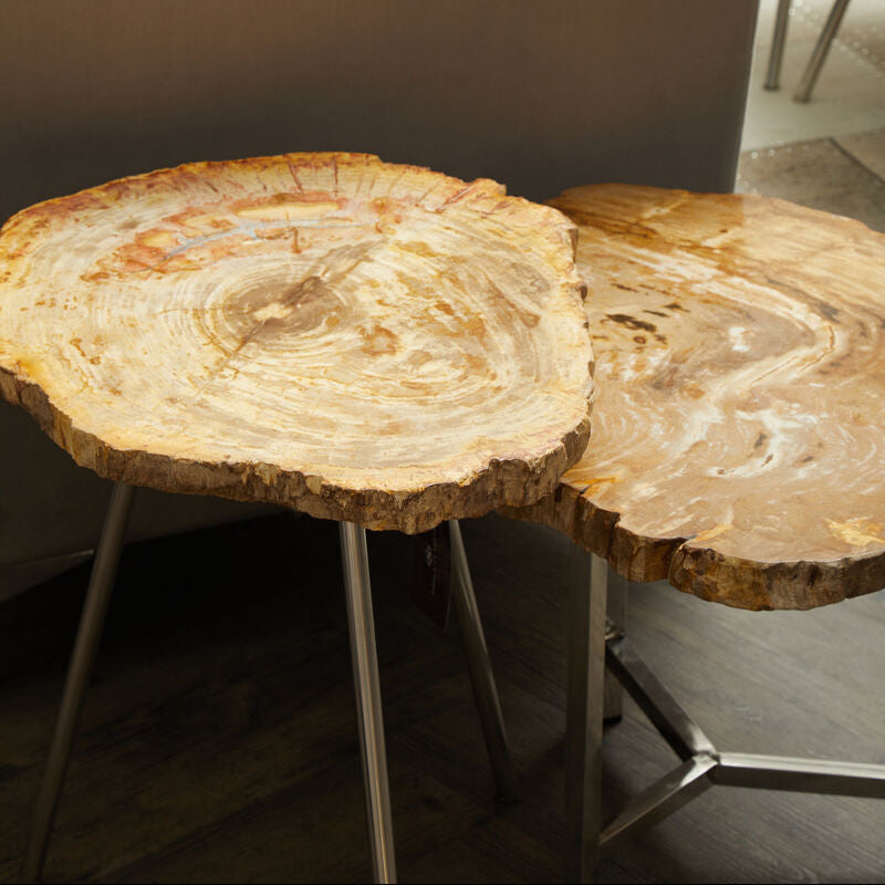 Natural Large Rustic Petrified Wood Top Side Table with Silver Finish Metal Frame, Relic