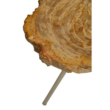 Natural Large Rustic Petrified Wood Top Side Table with Silver Finish Metal Frame, Relic