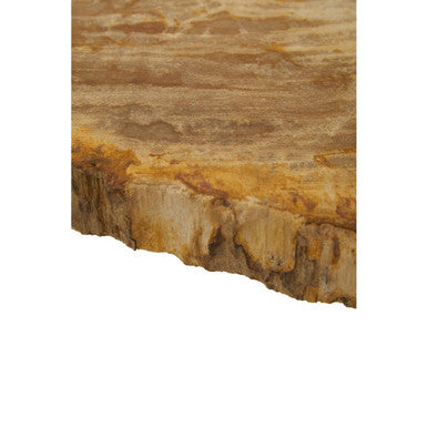 Natural Large Rustic Petrified Wood Top Side Table with Silver Finish Metal Frame, Relic