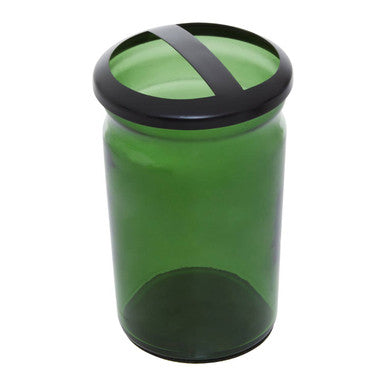 Allegra Green Glass Toothbrush Holder with Stainless Steel Divider