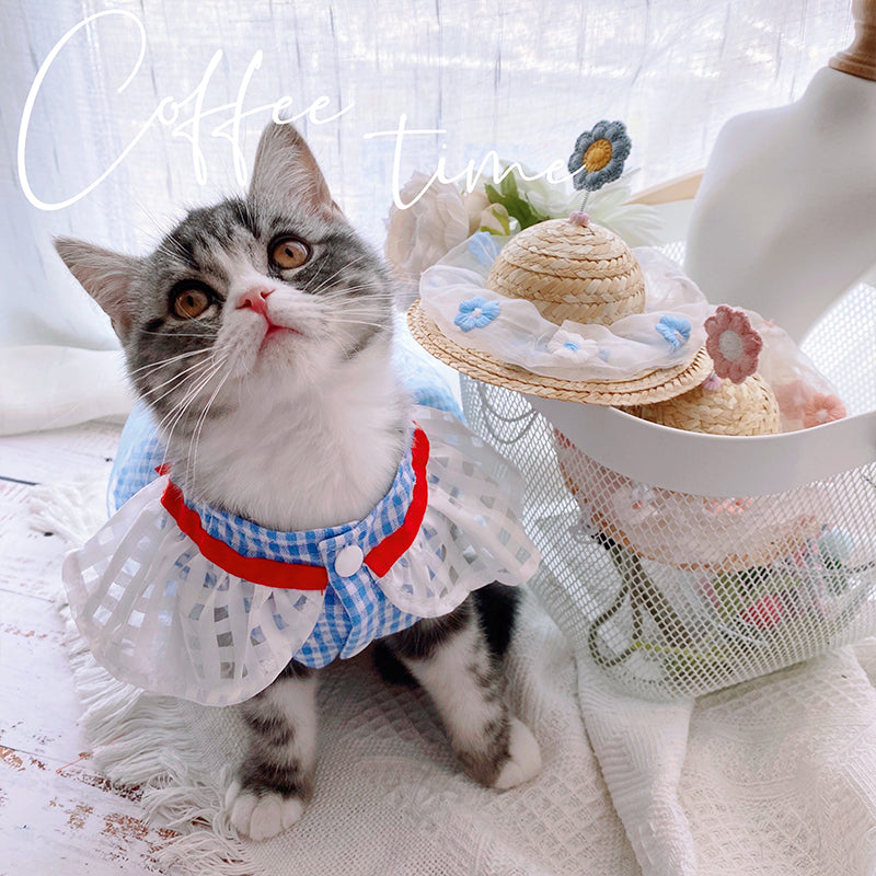 Blue Mesh Skirt Cat Clothes Dog Ins Wind Summer Small