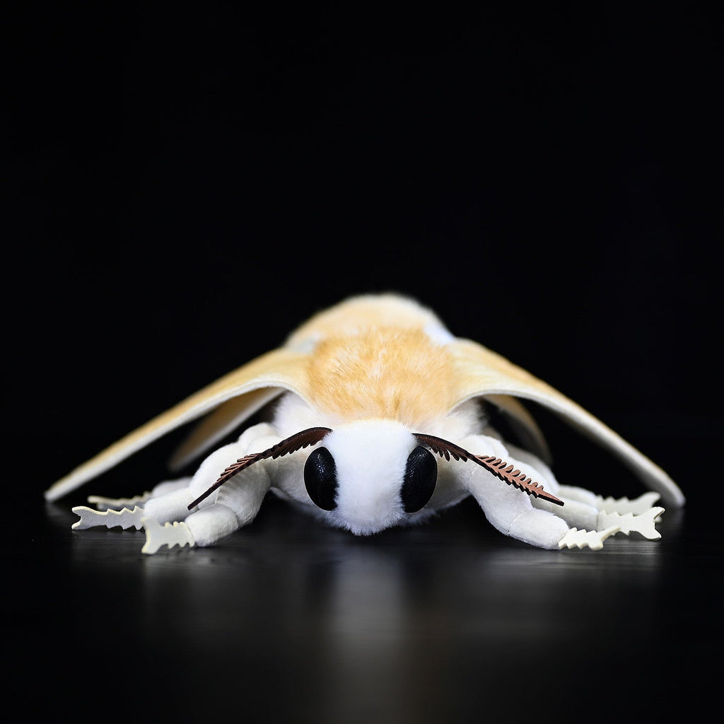 Insect Series Silkworm Moth Plush Toy Doll