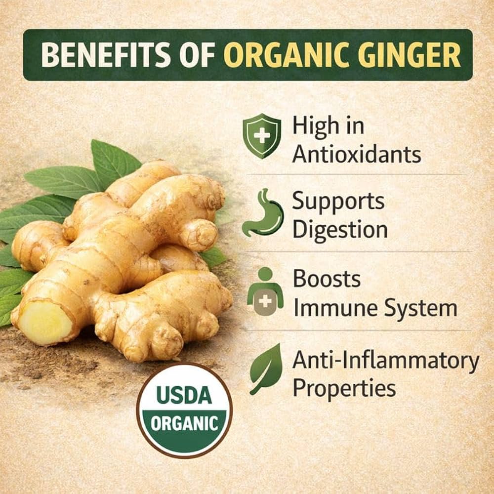 Organic Ginger Tincture - CIRCULATION, DIGESTION, NAUSEA RELEIF, TRAVEL SICKNESS