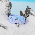 Hand Holding Rope Explosion-proof Chest Back Suit Widened Pet Collar Mini Schoolbag Dog Stool Bag