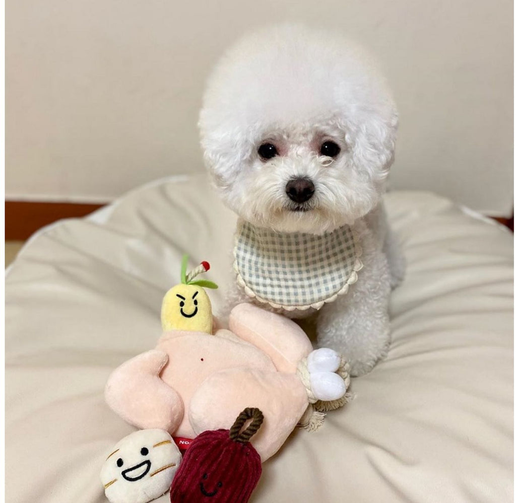 Dogs Leaking Food, Hiding Food, Smelling Toys