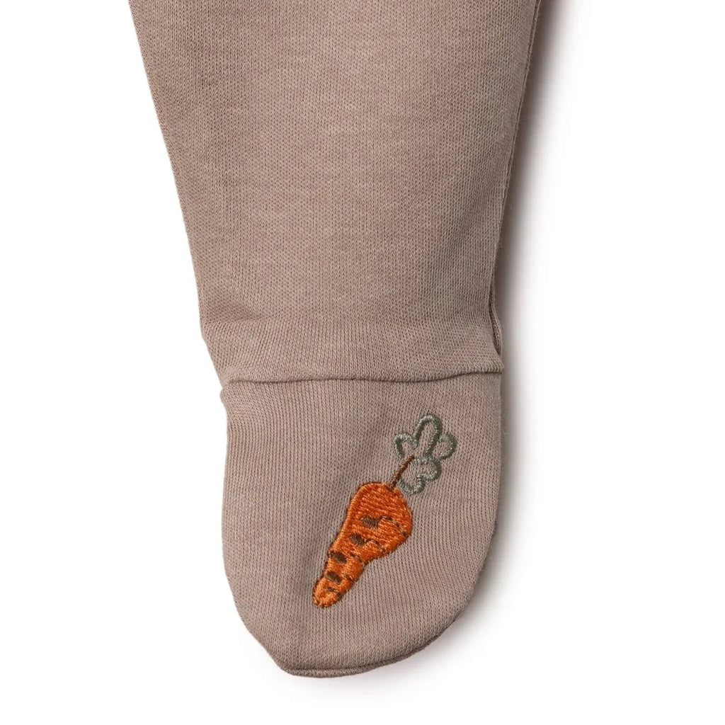 Bebetto Boys Bodysuit & Footed Bottom Set Animal Print Snap Fastening Baby Carrot Crew Neck Full Len - Brown