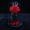 Glass Cover Tanabata Valentine's Day Immortal Rose Gift