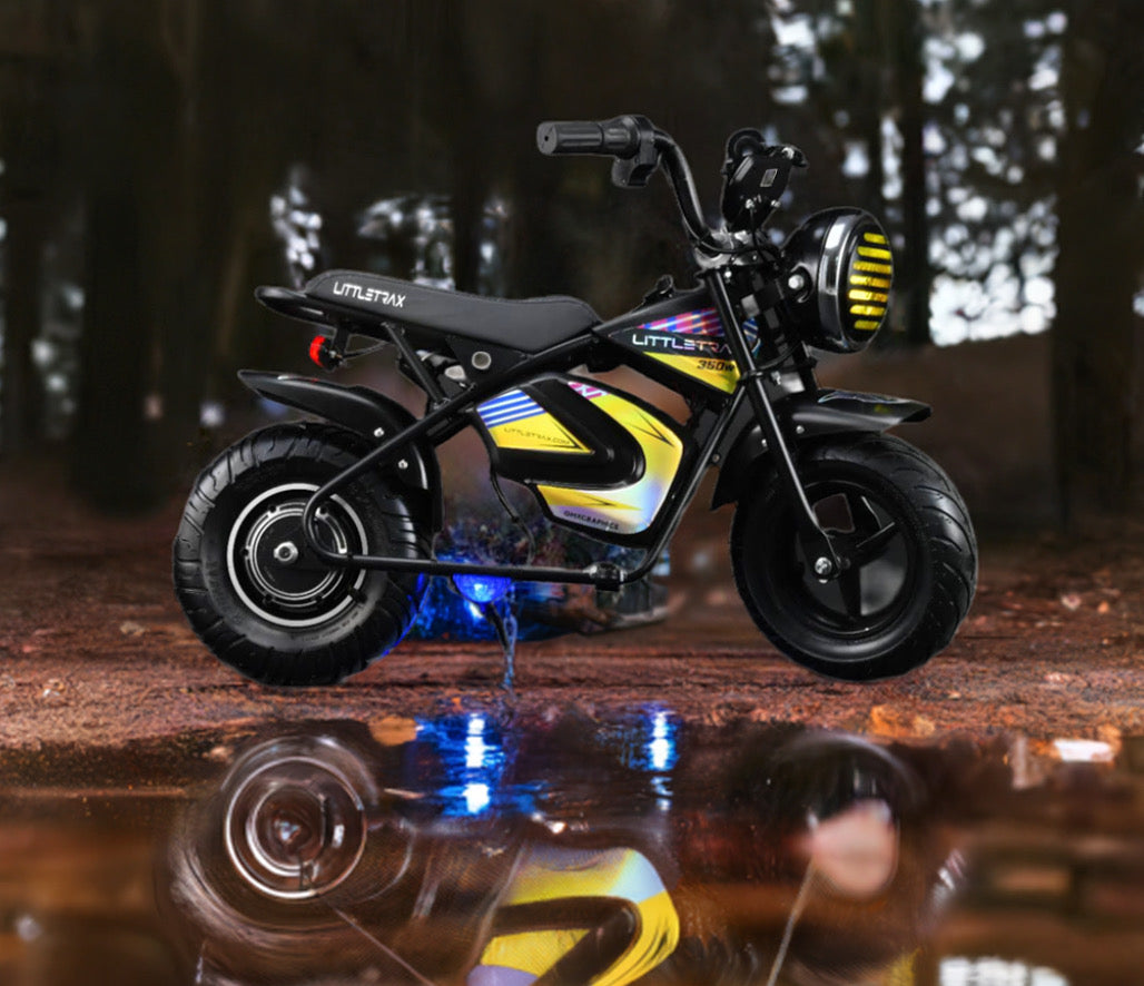 Award winning 350w 36v Kids Electric Bike – Ages 3 to 12+ ride on dirt bike
