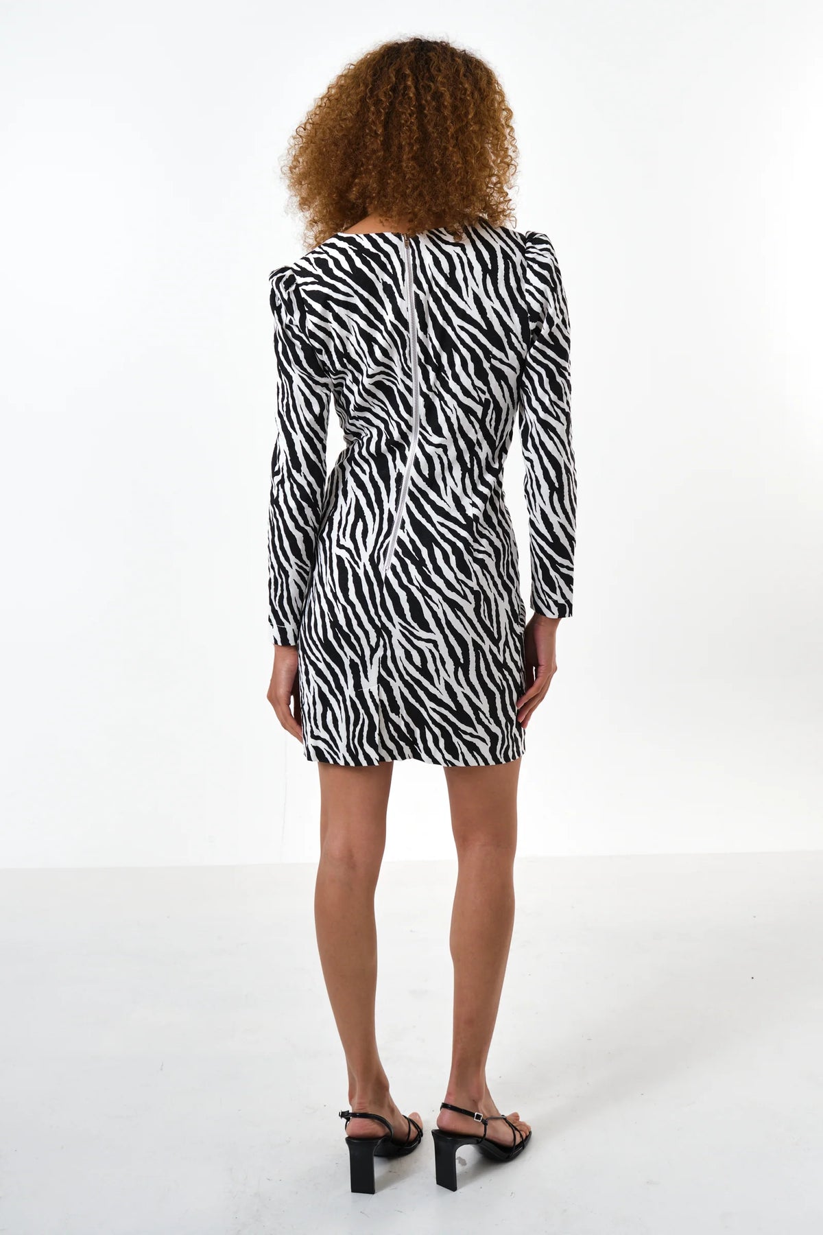 Anala Zebra Print Long Sleeve Mini Dress