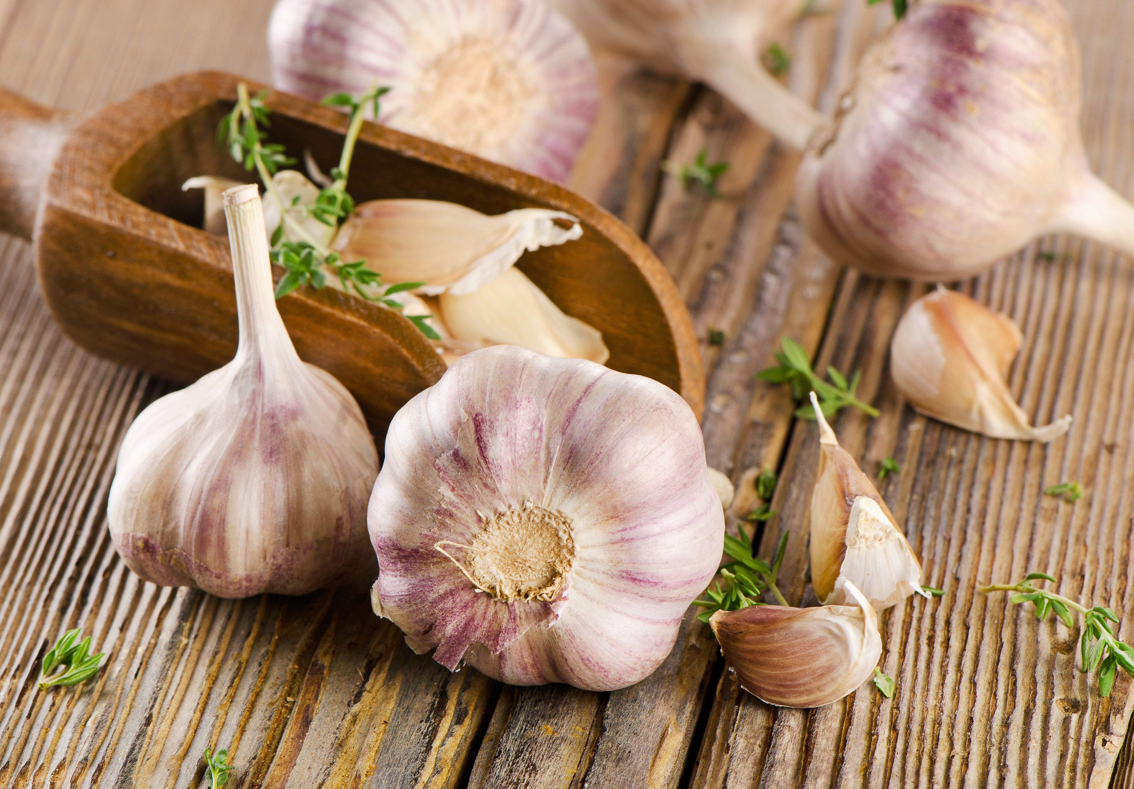 Angel's Natural Remedy Syrup - Vinegar, Garlic & Honey