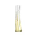 Adolfo Dominguez Agua de Bambu Pure Ice Limited Edition Eau de Toilette 100ml Spray