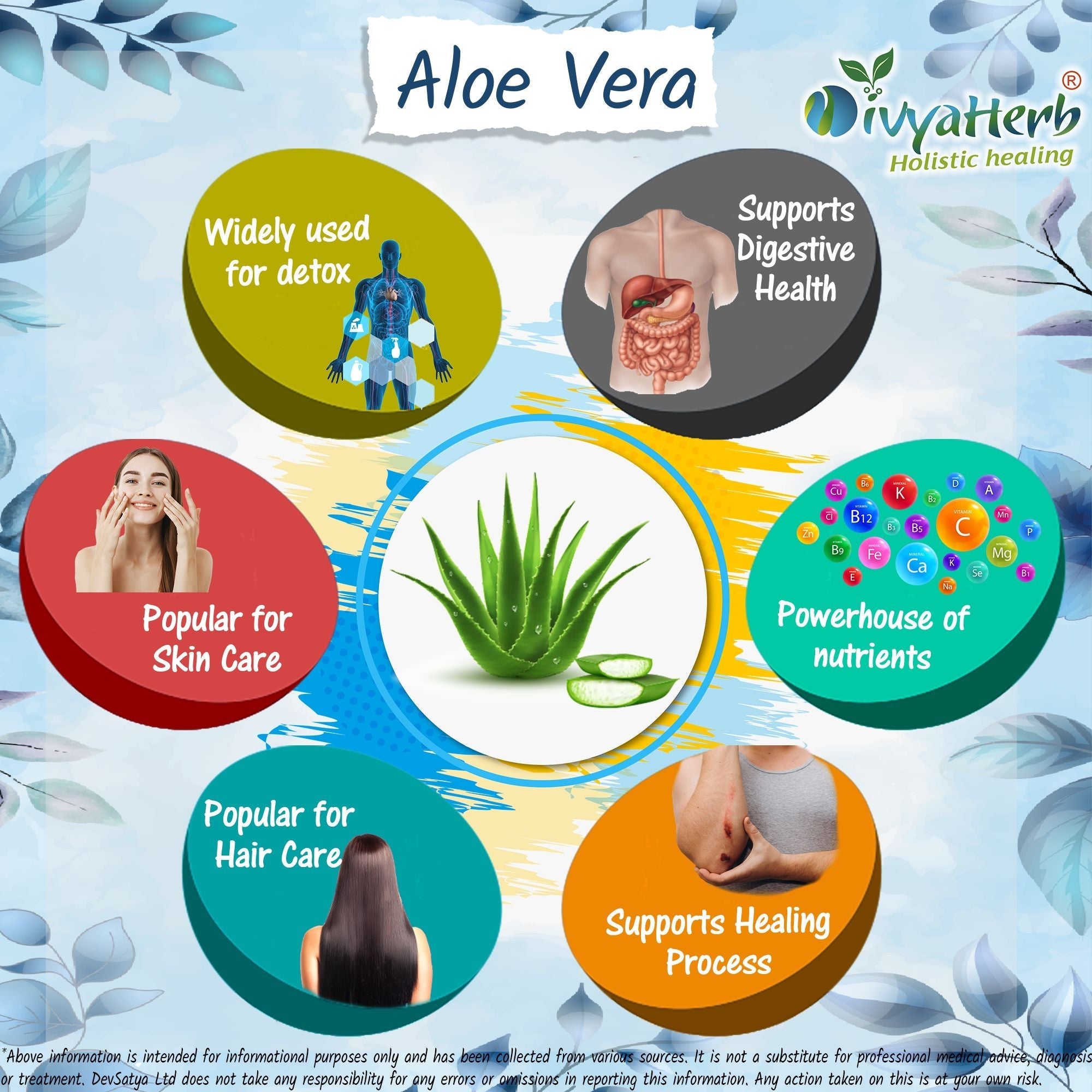 DivyaHerb Aloevera Powder 100 gram - Healthy-Looking Skin Support