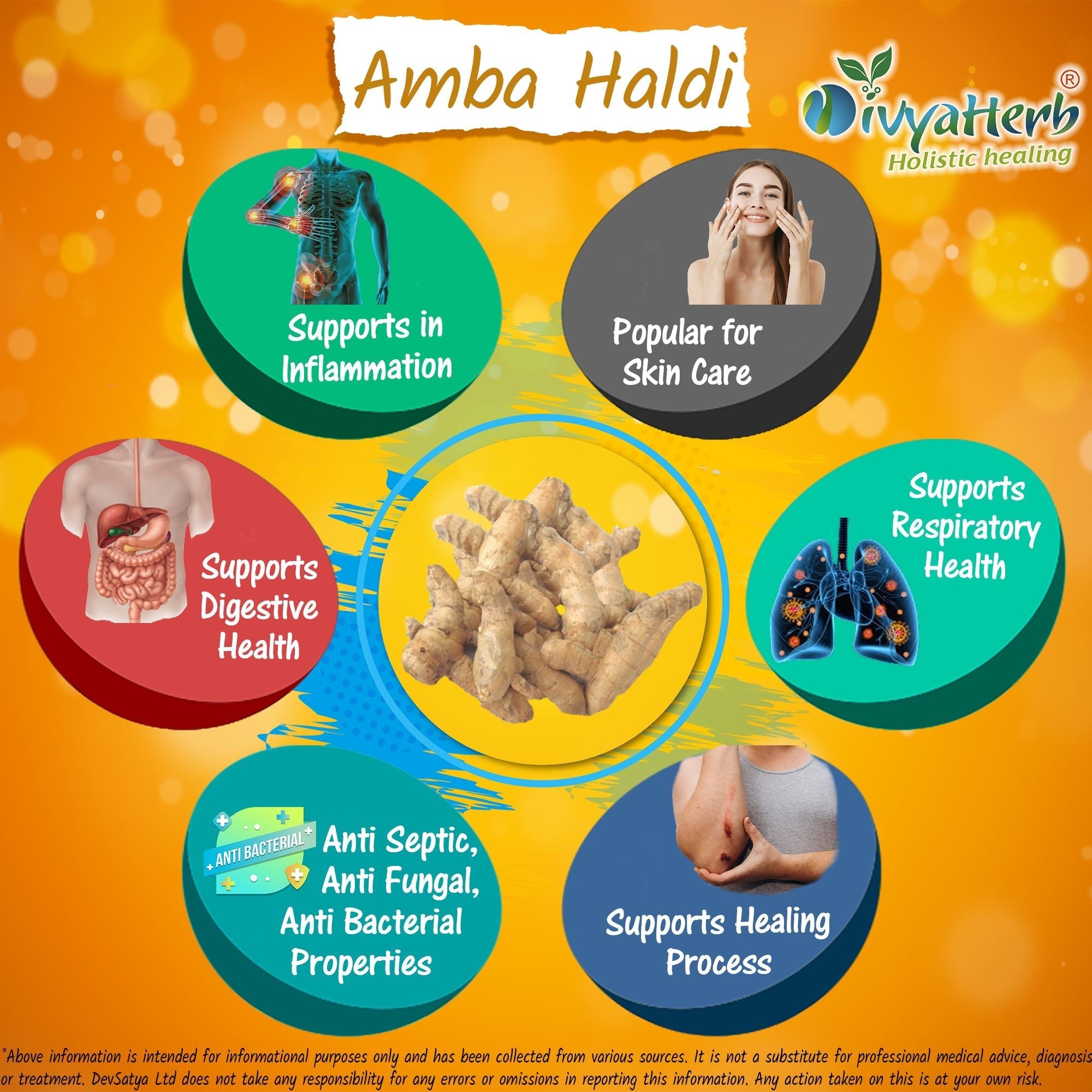 DivyaHerb Amba Haldi Powder 100 gram - Daily Wellness Support