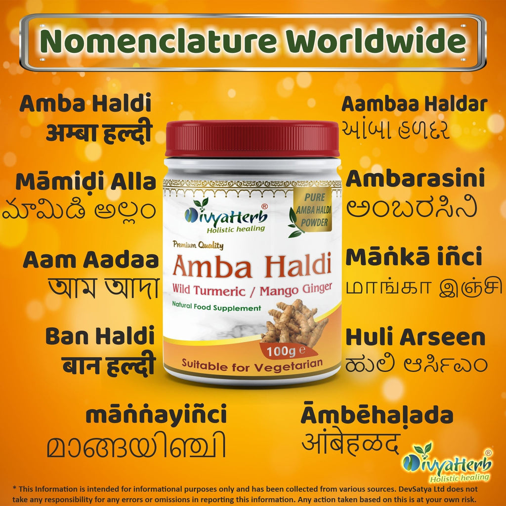 DivyaHerb Amba Haldi Powder 100 gram - Daily Wellness Support
