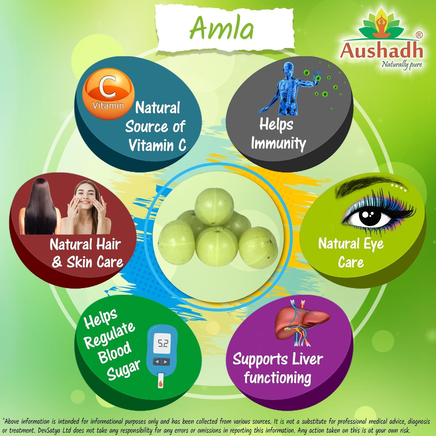 Aushadh Amla (Indian Gooseberry) Powder 100 gram - Hair & Scalp Support